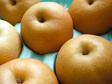 【梨の保存方法】冷蔵も冷凍もできる！それぞれのやり方と選び方を紹介