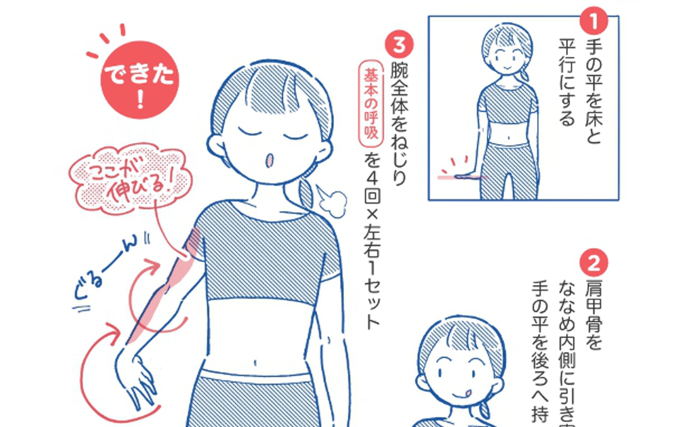 巻き肩をさんにぜひやってもらいたい！ 「ひじねじり」と「逆よつん