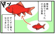 金魚のビオトープにいた、見覚えのない「メダカ」の正体とは!?【こどもと見つけた小さな発見日誌 Vol.62】