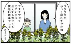 秋の花粉症のアレルゲン！ 長年悩まされ憎んでいた「ブタクサ」に対する勘違い【こどもと見つけた小さな発見日誌 Vol.79】