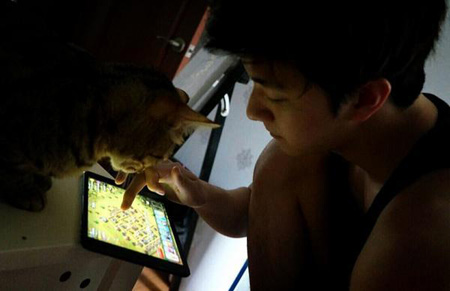 「2NE1」DARA、弟チョンドゥン（MBLAQ）と愛猫のゲーム三昧の写真公開