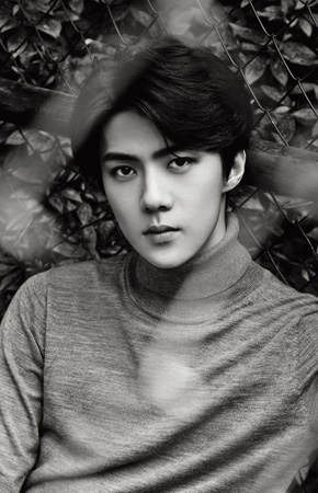 「EXO」SEHUN（セフン）、韓中合作映画「キャッツマン」主演に確定