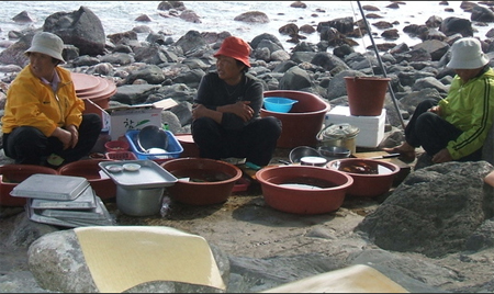 ＜Wコラム＞夏こそ行きたい！　韓国南部の旅1～済州島でアワビを食べる