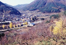 ＜Wコラム＞追憶の中の韓国紅葉紀行～日本武将の子孫たちが住む村