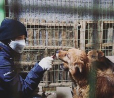 女優ク・ヘソン、動物保護所に飼料1トンを寄付、「天使たちに新しい人生を」