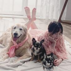 女優ク・ヘソン、愛犬の最後を守りながら家族写真を撮影