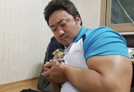 俳優マ・ドンソク、子猫を抱えてソワソワ…“持ち方が分からない”