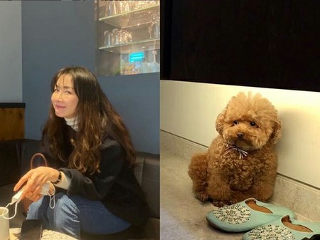女優チェ・ジウ、愛犬も飼い主に似てラブリー…ムッとした表情に視線集中