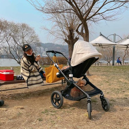女優チェ・ジウ、娘を見つめるママの姿…ベビーカーで漢江（ハンガン）を散歩