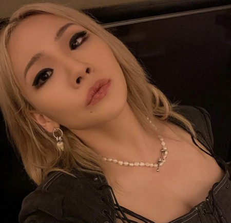 歌手CL、下着の上にドレスの「破格ファッション」...「MET GALA」ひっくり返してやった