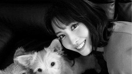 犬を飼っているK-POPアイドル・歌手特集