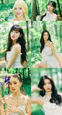 カムバック「OH MY GIRL」、森の妖精になった…まぶしい純白の美しさ