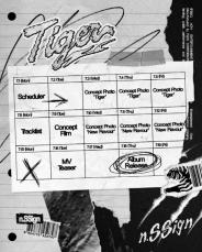 「n.SSign」、18日カムバック確定…リパッケージアルバム「Tiger」発売