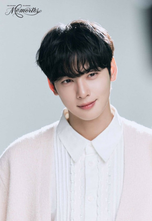 ASTRO」チャウヌ、「APEC」歓迎夕食会公演の司会を担当｜Infoseekニュース