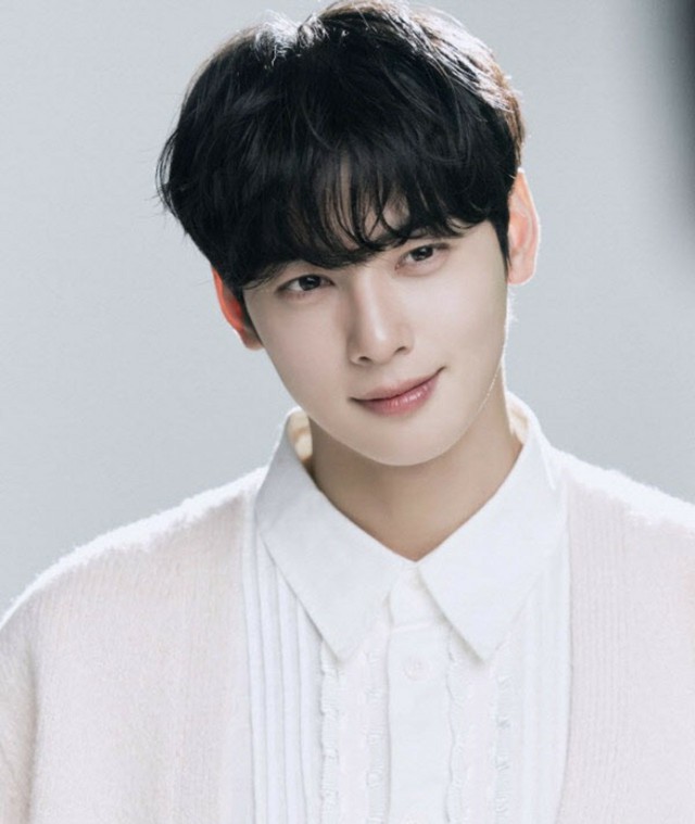 法人名義でも個人所得”チャウヌ（ASTRO）、200億ウォンの脱税疑惑に