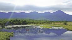 知床五湖で外来種スイレンの除去作業、作業後に見ることができたのは美しい「逆さ知床連山」