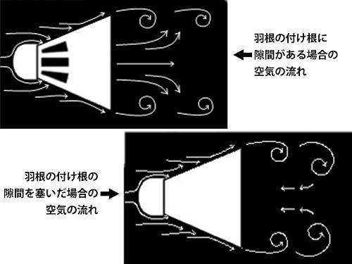 初速は時速５００キロでも「急減速」するバドミントン、流体力学の先生に理由を解説してもらった