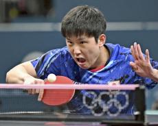 卓球シングルスで張本智和が８強入り…東京大会より一段上も「目標はベスト８じゃない」