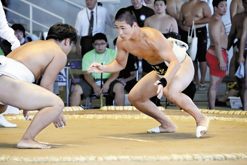 相撲で鳥取・鳥取城北の三橋真　初優勝