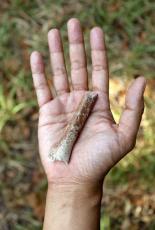 最も小さい人類「フローレス原人」、身長１００ｃｍの大人の骨を発見