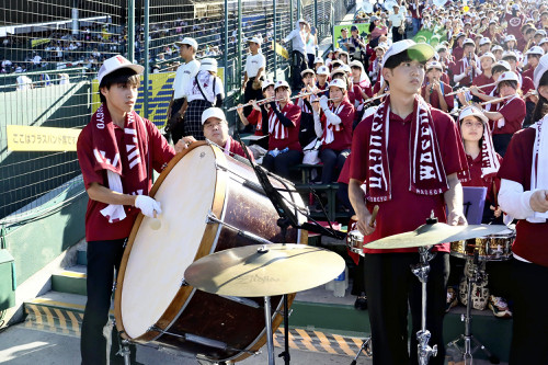 早実の大太鼓、聞けるのは甲子園だけ…「応援演奏の心臓部」がアルプス席で響く