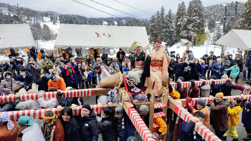 巨木に乗った着物姿の新婦が担がれる「日本一の奇祭」…過疎化進む集落の活性化に一役