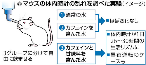 「甘いカフェイン」摂取、体内時計乱れる恐れ…コーヒー飲料など「いつ飲むのがいいか検討必要」