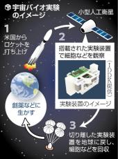 「お名前を宇宙に届けます」…人工衛星で実験計画中の新興企業、寄付のお礼に装置に刻む