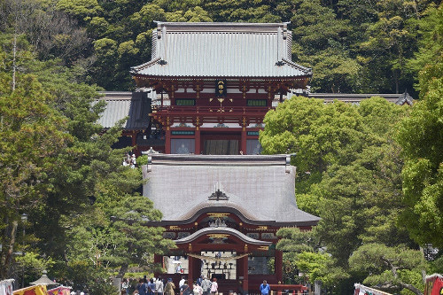 鎌倉・鶴岡八幡宮、流鏑馬の練習中に落馬した男性が重体…１６日の神事を中止