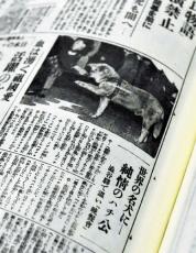 忠犬ハチ公が「お手」をする写真、９１年前の読売新聞に…亡き飼い主・上野英三郎博士を待つ姿紹介