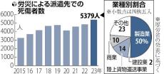 派遣先での労災増加、経験浅く短期間で職場変わり高リスク…事故の遺族「安全管理に疑問」