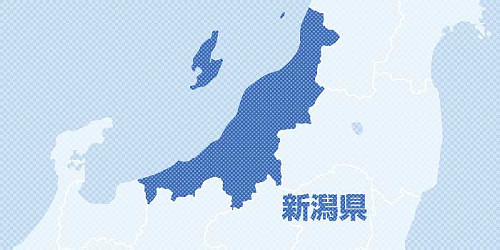 野党、新潟県内の３選挙区で候補者一本化できず…対決構図ほぼ固まる