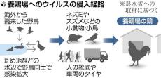 千葉県香取市の養鶏場で鳥インフル、３万８０００羽の殺処分開始…北海道厚真町に続き今季２例目