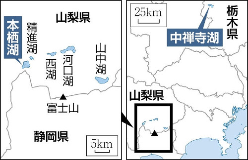 富士「本栖湖」で大型外来魚「レイクトラウト」繁殖、ヒメマスが食い荒らされ解禁見送り…駆除へ調査