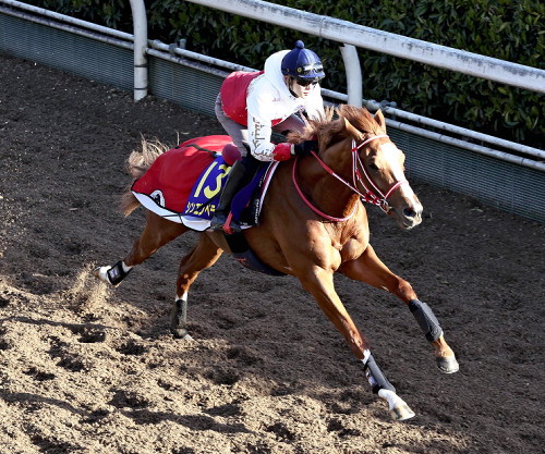 ２０２０年の凱旋門賞馬のソットサス、日本で種牡馬入り…北海道新ひだか町の牧場へ