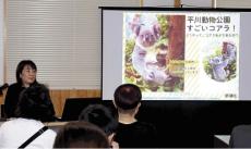 コアラ来日４０年…１９８４年から計１０５頭を飼育・８１回の繁殖に成功した平川動物公園で記念イベント