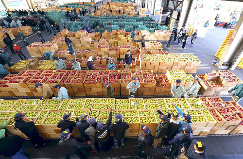 例年より少量も「ふじ」「王林」など１１万箱超ずらり…弘前でリンゴの競りが最盛期