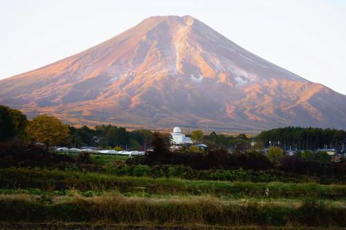 富士山の初冠雪を甲府地方気象台が発表…１８９４年の観測開始以来最も遅く