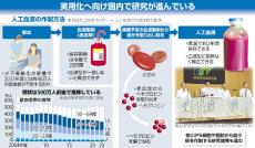 どんな血液型でも大丈夫な「人工血液」、献血者不足を背景に実用化への歩み進む