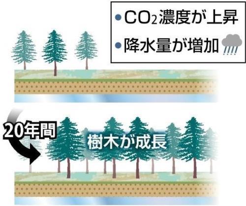 温暖化の永久凍土地帯、森林のＣＯ２吸収量が増加…アラスカ州で大阪公立大などのチーム確認