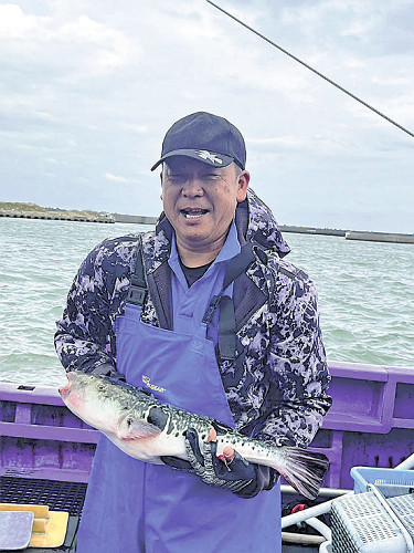 筋肉質で甘みのある高級食材トラフグ、千葉県で漁獲量急増…日本一の消費地・下関に出荷も