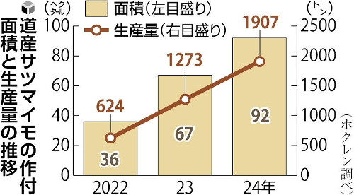 北海道産サツマイモ、生産量が急伸…温暖化で栽培しやすく「甘み増す時期が他県産より早い」