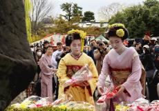 京都の四季に舞妓の心情織り込んだ「祇園小唄」を顕彰、献花した舞妓「毎日のように舞わしてもうてる曲」