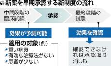 ドラッグロス解消へ新薬スピード承認…がんや難病などで新制度導入の方針