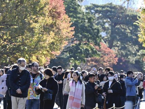 皇居・乾通り、赤や黄色に色づく…女性「あまり期待していなかったがとてもきれい」