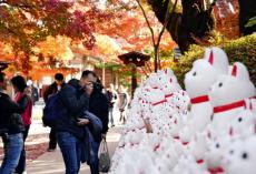 モミジやイチョウの下に無数の招き猫…ＳＮＳで話題、世田谷の豪徳寺で紅葉見頃