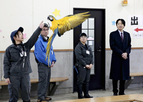 秋篠宮さま、日本平動物園でバードショーの訓練の様子を視察