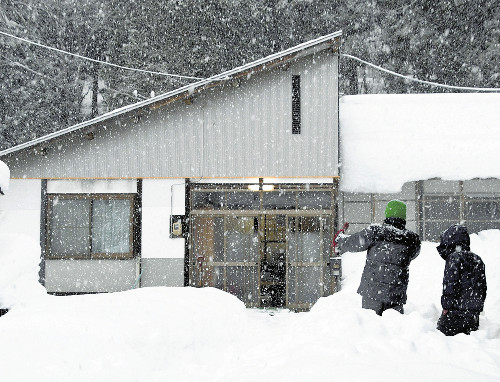 雪降る季節にクマ、男性「まさか冬に」…識者「冬眠の場所探して迷い込んだか」「住宅は心地よい空間」