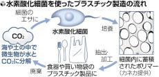 ＣＯ２が「エサ」の細菌でバイオプラ量産化へ、カネカが実証実験…環境負荷小さく脱炭素にも期待