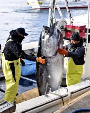 豊洲市場で初競り、一番マグロは歴代２位の２億７００万円「鮮度がずば抜け」